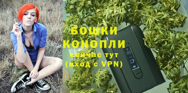 мдма Ельня